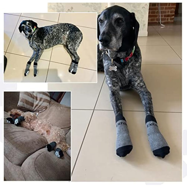 EXPAWLORER Anti Slip Dog Socks with Grips - Dog Paw Protectors Injured Care Stop Licking Traction Control, Indoor Dog Boots with Adjustable Strap Fit for Puppy Small Medium Large Dogs