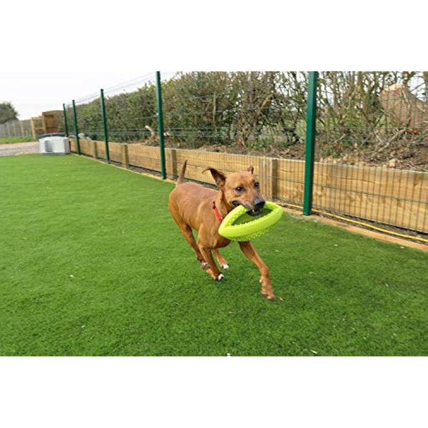 Happy Pet Grubber Rugby Ball Dog Toy Strong Fun Interactive Bouncy Chewing Outdoor Playing Catch Fetch Lightweight Tugging Pulling for All Breeds