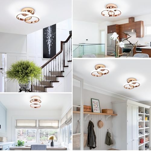 EIDISUNY LED Ceiling Light Modern Lamp Gold Round Simple Fixture for Corridor Kitchen Stairs Hallway Study Room Bedroom Living Room - Chrome Gold 22W Cool White Light 6000K