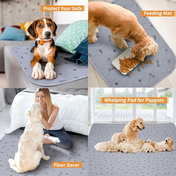 Washable Pee Pads for Dogs, 2Pack Puppy Pads Washable,Absorbent Reusable Whelping Pads Non-Slip Dog Mats with Bone Print for Floor Protector, Couch Cover, Crate, Potty Training -122x122CM