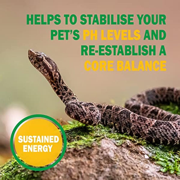 Vetark Reptoboost Power | Electrolyte & Probiotic boost for reptiles & Tortoise | Supports recovery following hibernation | Easy to give | 300g powder