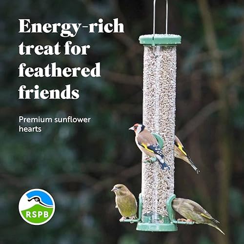 RSPB Sunflower Hearts Wild Bird Food 4kg, High in Energy & Protein, Great For Bird Feeders, Supporting The RSPB Charity, Resealable & Recyclable Packaging
