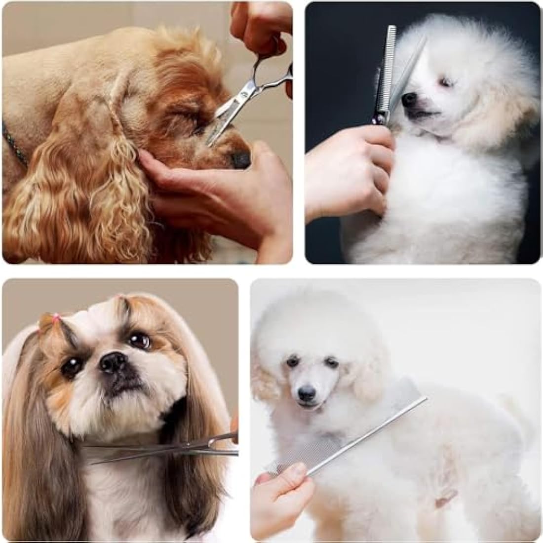 EVERESTA Dog Grooming Scissors with Safety Round Tips, Heavy Duty Titanium Pet Grooming Trimmer Kit, Professional Thinning Shears, Straight Scissors with Comb for Dogs and Cats (Set of 5)