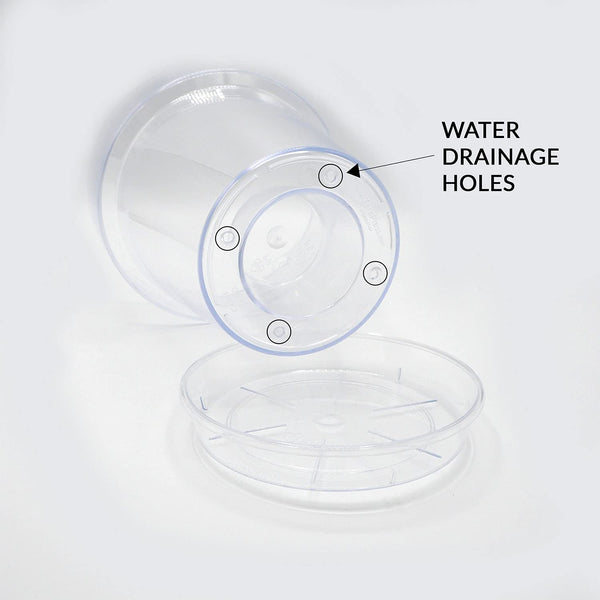 Kalapanta Clear Plastic Orchid Pot with Drainage Holes and Saucer (5, 14 cm Diameter)