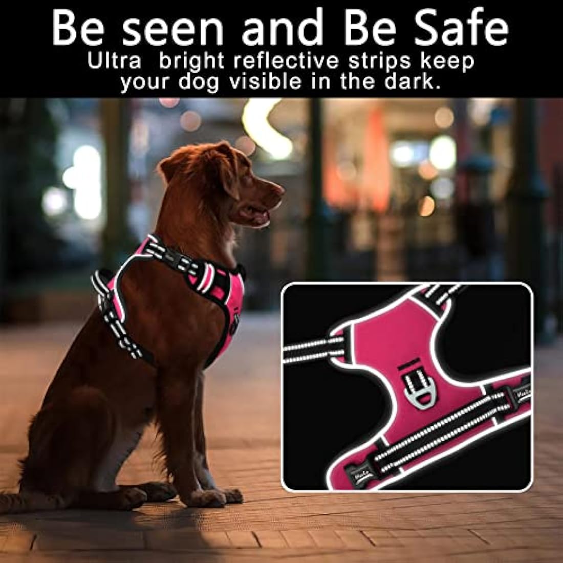 HEELE No Pull Dog Harness, Release on Neck, Reflective Adjustable with Front Back 2 Leash Attachments and Soft Padded Control Handle for Small Medium Large Dogs, Fuchsia, XL