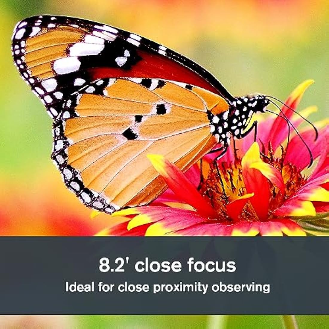 Celestron 72370 Outland X 10x50 Waterproof Monocular with Smartphone Adapter, Bluetooth Remote, Eyepiece Covers and Belt Case - Durable Housing, BaK-4 Prism Glass and Multi-Coated Optics, Black