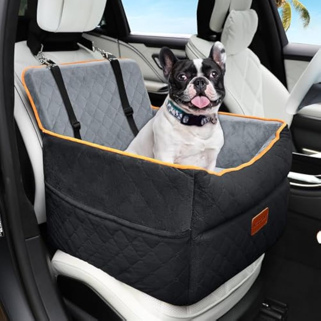 HEGGCOOE Small Dog Car Seat, Memory Foam Dog Booster Seats with Thick Cushion for Medium Dogs Under 35lbs, Detachable Washable Pet Car Seat with Storage Pockets,2 Safety Belts
