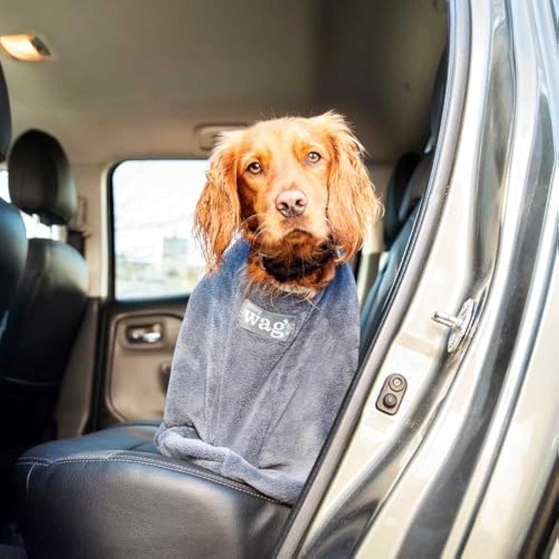 Henry Wag Dog Drying Bag - Soft & Highly Absorbent Microfibre, Muddy Pet Accessories, Quick Drying - Designed for Dogs - L (100 x 75 x 54cm)