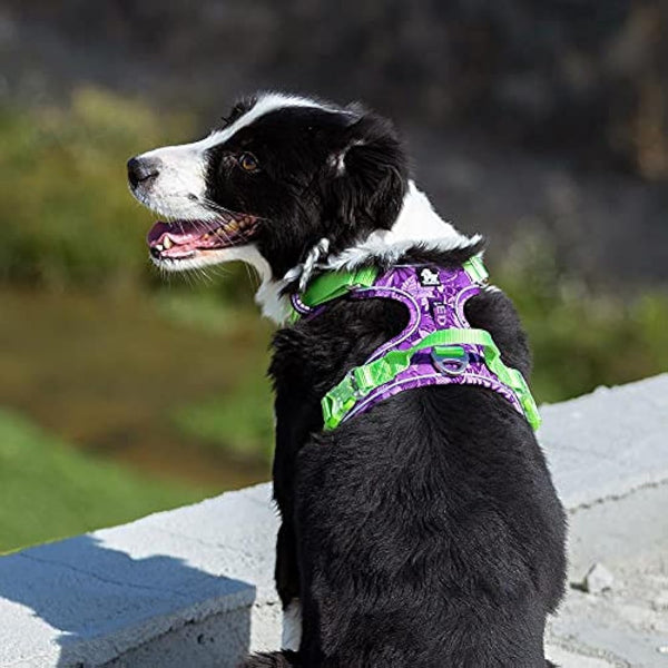 Dog Harness No Pull Adjustable Reflective Step-in Soft Nylon For Small Large Pet TLH5653(XL, Camouflage Purple)