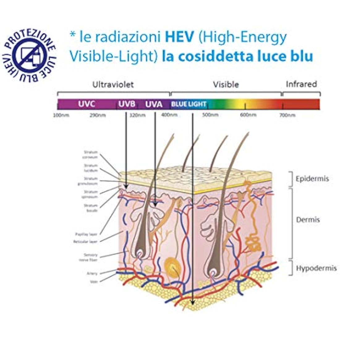 Helan, Hydrate Jaluronico, Anti-Wrinkle Cream for Women, Moisturising Face Serum for Dry Skin, Anti-Wrinkle Action with Hyaluronic Acid, Collagen and Elastin, 50ml - Made in Italy