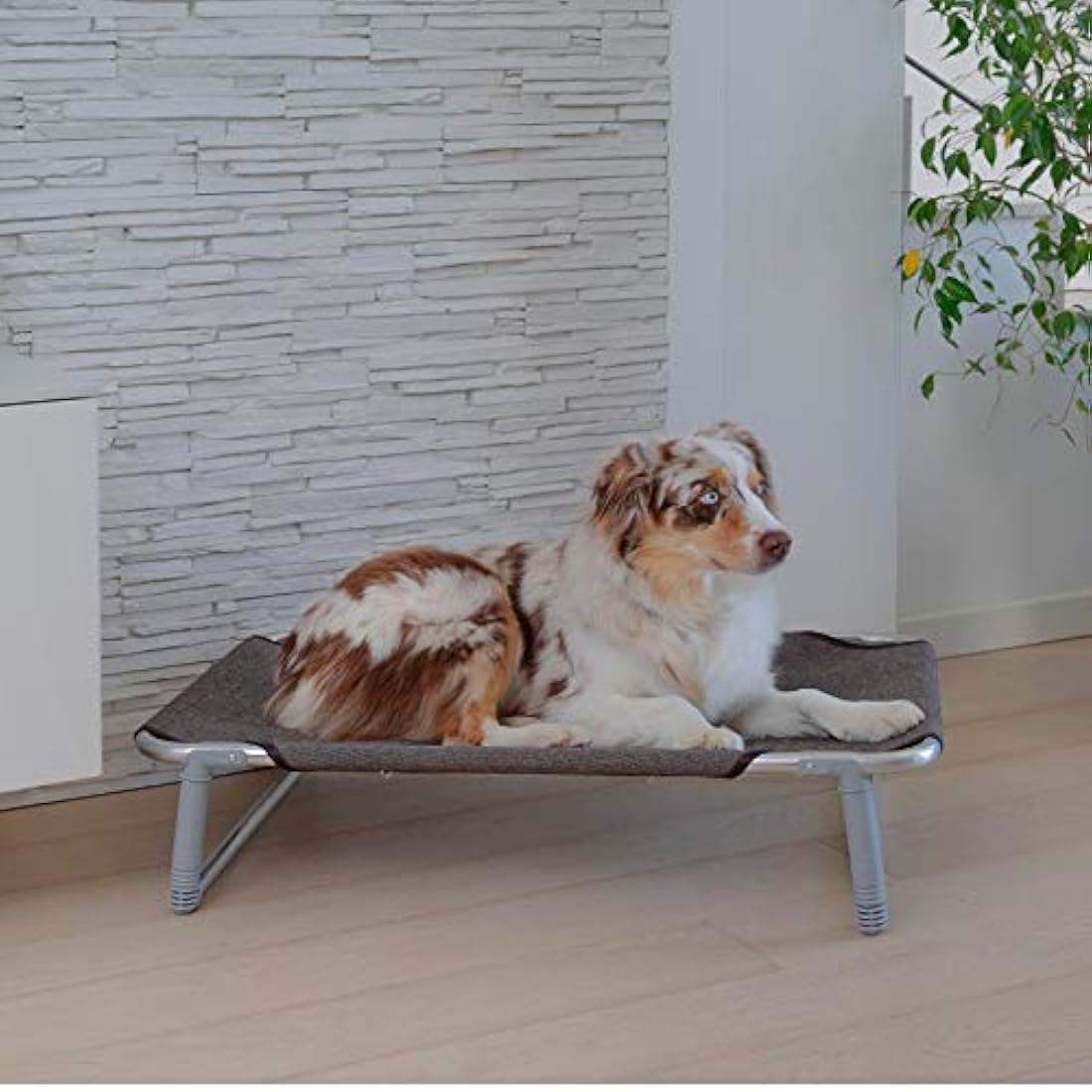 Ferplast Dream 80 Dog Bed, 84 x 54 x 7 cm