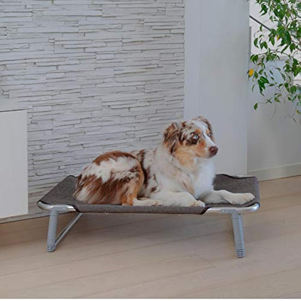 Ferplast Dream 80 Dog Bed, 84 x 54 x 7 cm