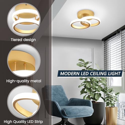 EIDISUNY LED Ceiling Light Modern Ceiling Lamp Silver Round Simple Ceiling Light Fixture LED for Corridor Kitchen Stairs Hallway Study Room Bedroom Living Room - Gold 22W (Cool White Light 6000K).