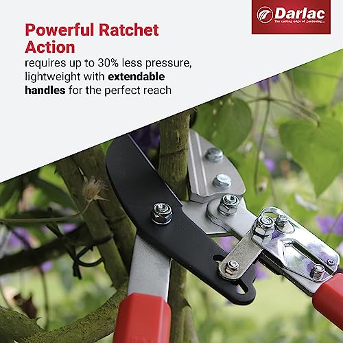 Darlac Telescopic Ratchet Lopper – Recommended by Professionals – Extendable Handles – Powerful Ratchet Action – 50mm Cut Capacity – Ideal for Gardeners with Dexterity Issues - SK5 Carbon Steel Blade