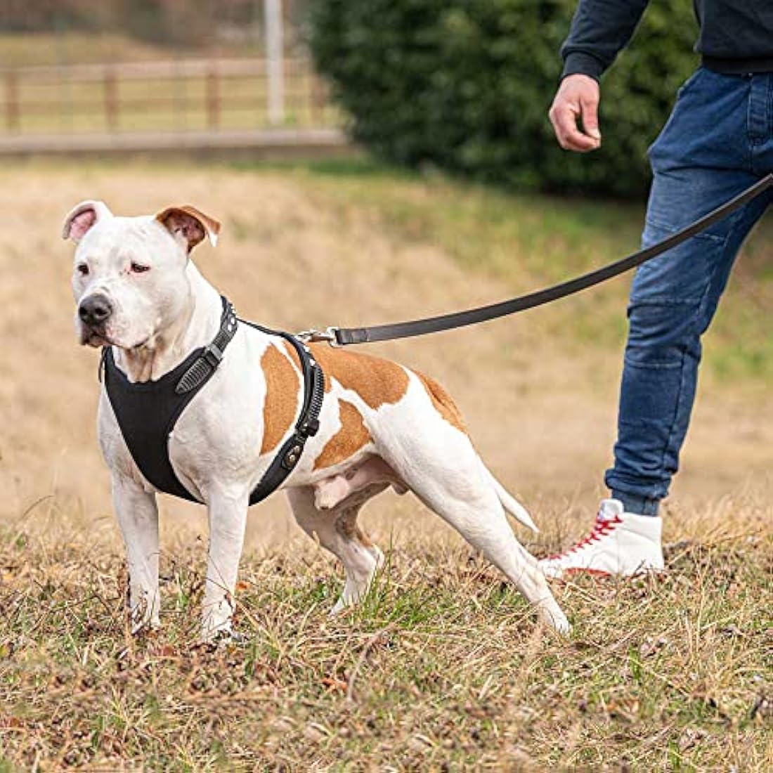 Ferplast Giotto Luxor Dog Harness, 50-70 cm/ 75-95 cm, Black