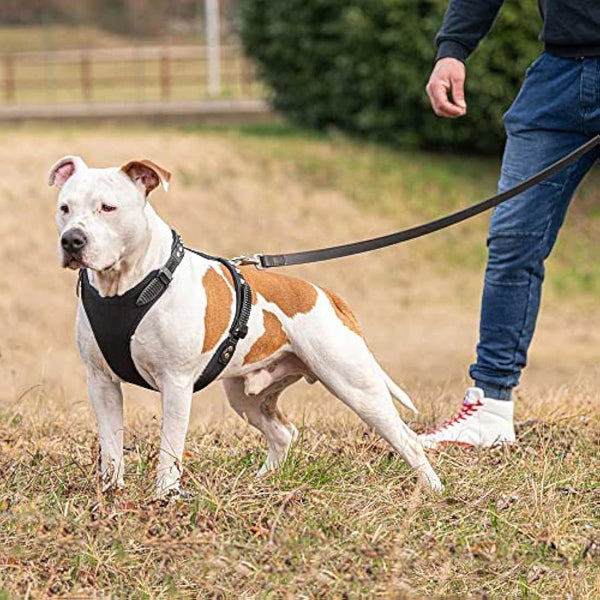 Ferplast Giotto Luxor Dog Harness, 50-70 cm/ 75-95 cm, Black