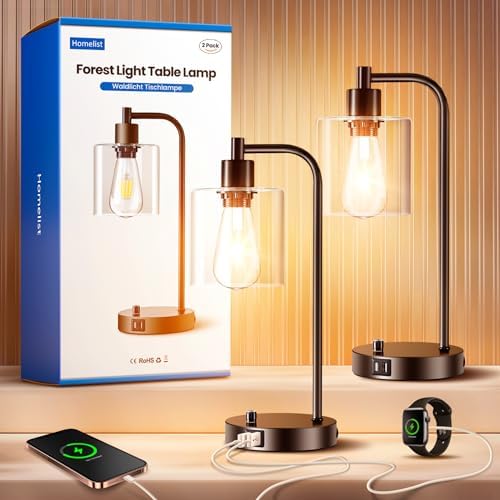 Homelist Dimmable Bedside Lamps Set of 2, Industrial Retro with USB Charging Ports, Black Modern LED Nightstand Desk Beside Table Lamp, Glass Shade for Bedroom Living Room Home Office, Bulb Included