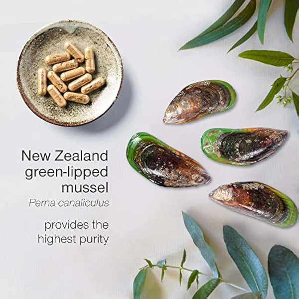 Green Lipped Mussel for Humans & Dogs - New Zealand Green Lipped Mussel Capsules 1000mg - High Strength Joint & Mobility Supplement with Omega 3-100% Pure Powder - 90 Tablets - Made in The UK