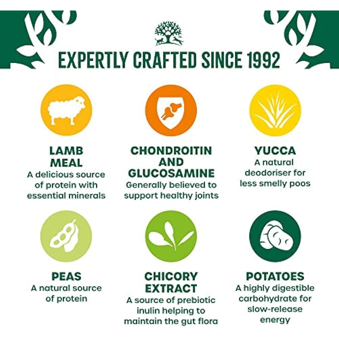 James Wellbeloved Complete Dry Senior Dog Food Lamb and Vegetables, 10 kg