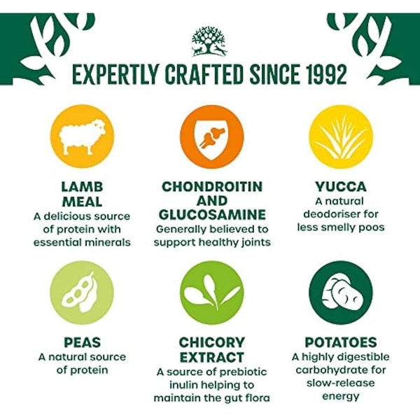 James Wellbeloved Complete Dry Senior Dog Food Lamb and Vegetables, 10 kg