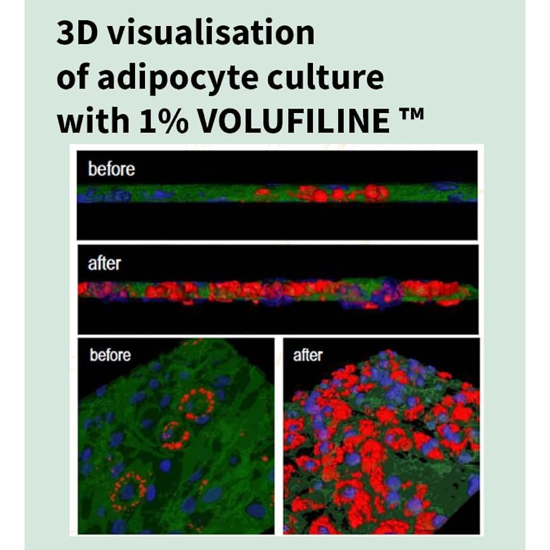100% Volufiline 10ml (0.37 Fl Oz) Patented Cosmetic Ingredient from SEDERMA (France) Just Add A Few Drops DIY Skin Care Cosmetic Ingredient