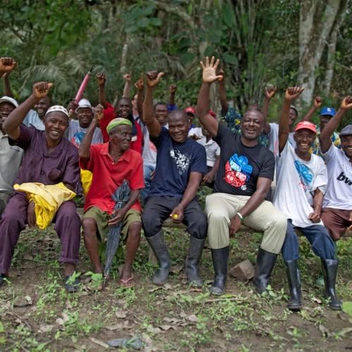 Karma Drinks Can Variety Pack, Mixed Case of Delicious Soft Drinks, Carbonated Fizzy, Fairtrade, Organic, Vegan, No GMO (12 x 250ml)