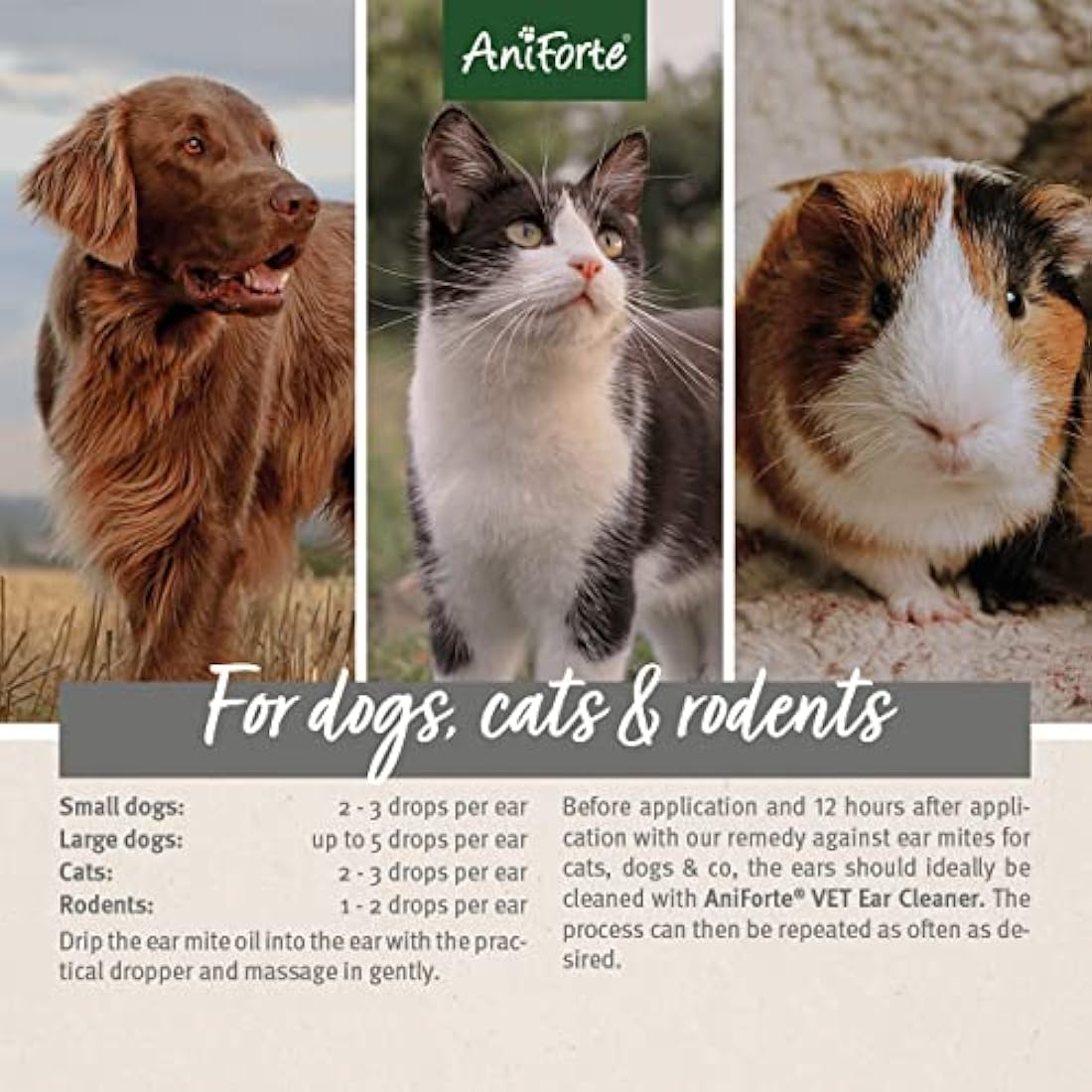 AniForte Ear Mite Drops 20ml for Dogs, Cats, Rodents and Pets: Treatment for Pets and Animals to Kill & Remove Ear Mites, Ear-Drops