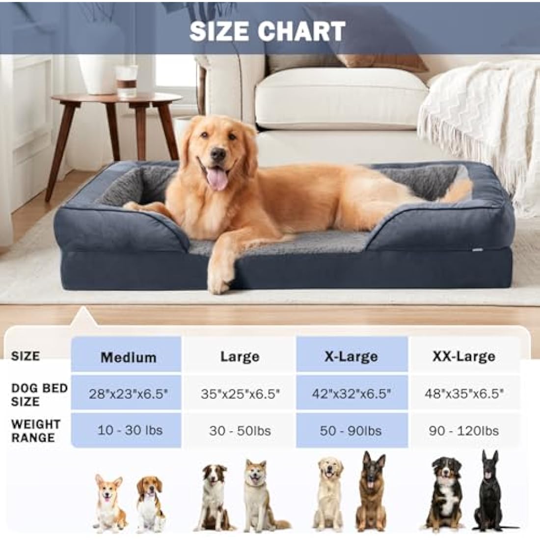 JOEJOY Medium Dog Bed, Orthopedic Memory Foam Dog Beds, Washable Pet Bed, Grey, Fits up to 30lbs, Good for Yorkshire, Chihuahua, Jack Russell Terrier, Bomei，Cat