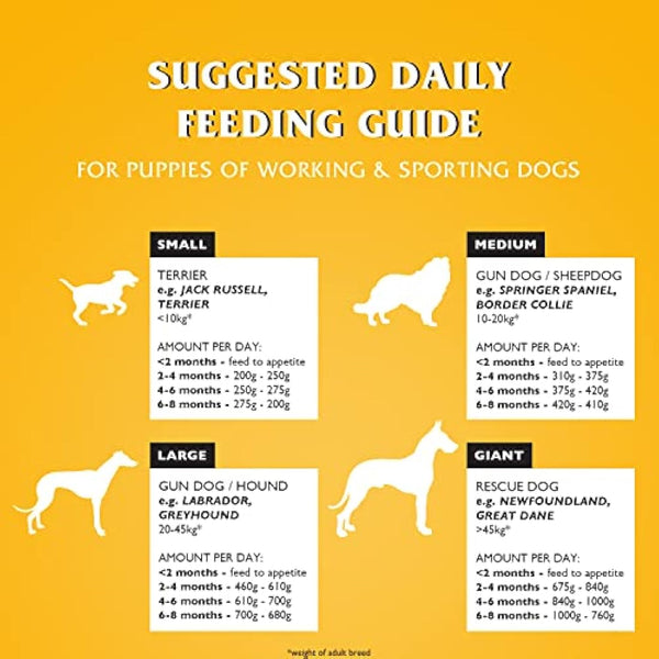 Dr John Dry Puppy Food 10kg with Omega-3s - Chicken Recipe - Complete Nutrition for Puppies of Sporting Active Breeds - Junior High Protein Dry Dog Food.