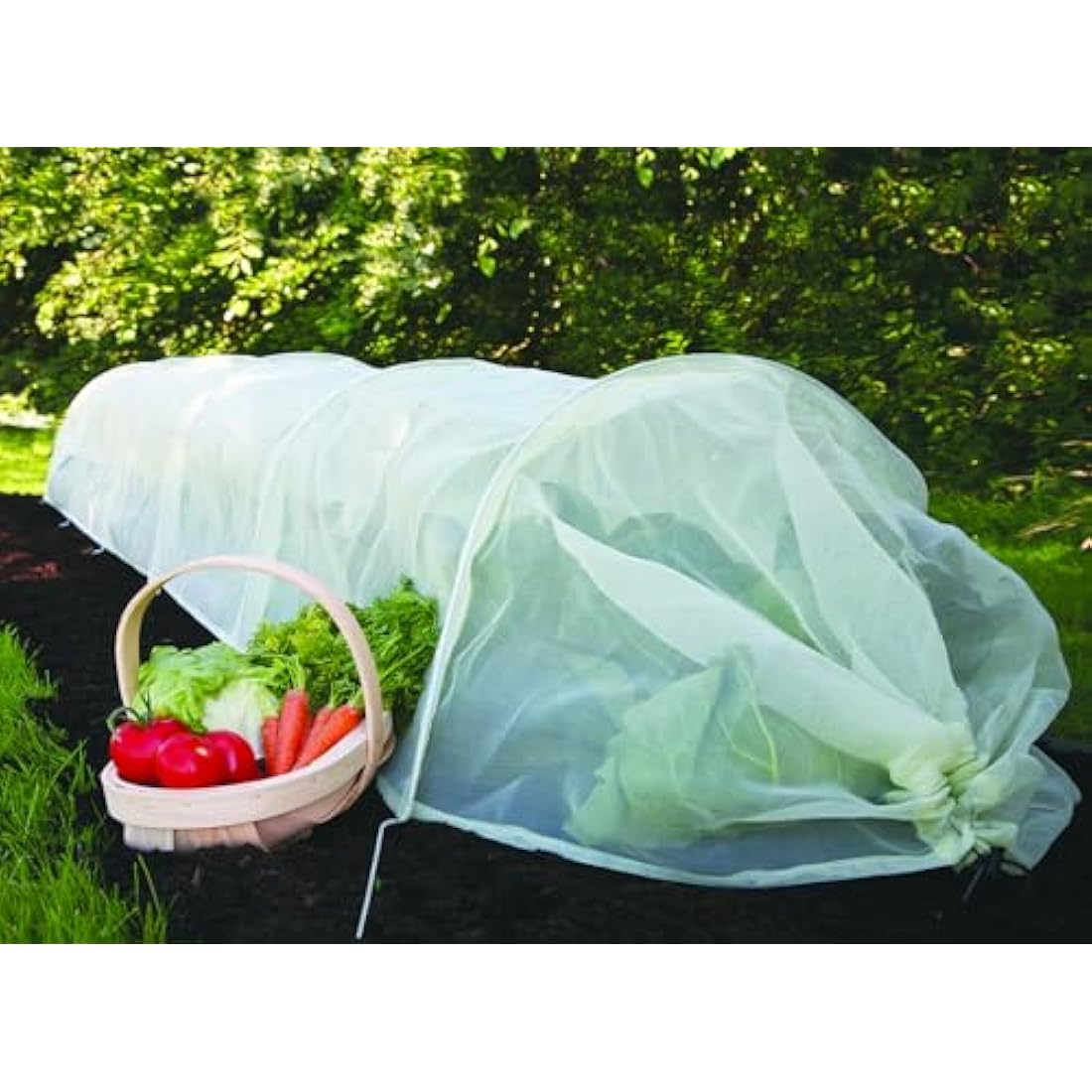 Haxnicks Easy Tunnel Micromesh Garden Tunnel | Ready To Use Fold Out Design Ultra Fine Netting Garden Tunnel | Plant Protection Cloche | Garden Pests Aphids Black Fly | L300 x W45 x H30 cm Etun100101