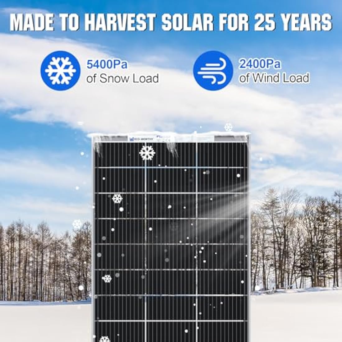 ECO-WORTHY Bifacial 195 Watt 12 Volt Solar Panel 12BB Monocrystalline Double-Sided Power Generation High Efficiency PV Solar Panel for Motorhome, RV, Campervan, Caravan, Boat, Home Off Grid