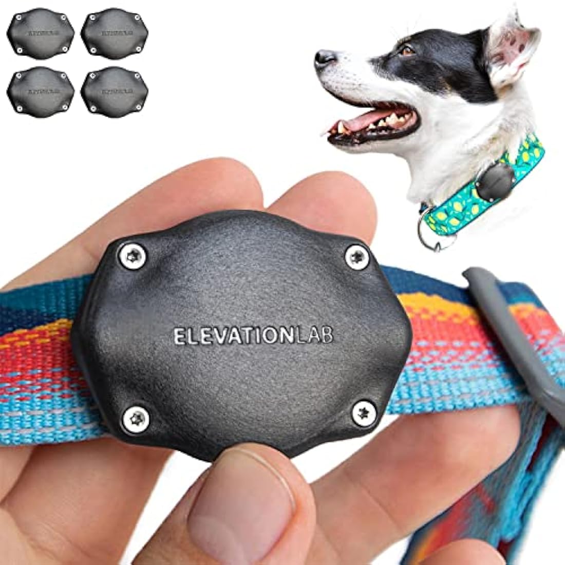 TagVault™ AirTag Dog Collar Mount (4 Pack) - IP68 Waterproof, Doesn't Dangle, Fits All Width Collars | Elevation Lab