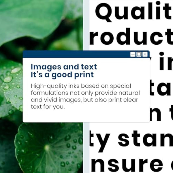 305XL Ink Cartridges Black Replacement for HP 305 Ink Cartridge,305 Printer Cartridges for HP DeskJet 2710 2720e 2722 2700 DeskJet Plus 4100 4120 Envy 6000 6020e Pro 6400 6430 Printer(2 Black)