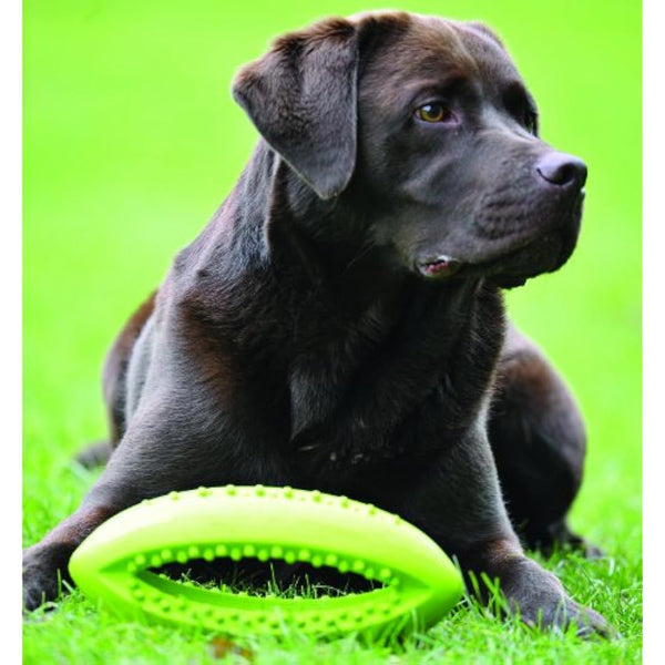 Happy Pet Grubber Rugby Ball Dog Toy Strong Fun Interactive Bouncy Chewing Outdoor Playing Catch Fetch Lightweight Tugging Pulling for All Breeds