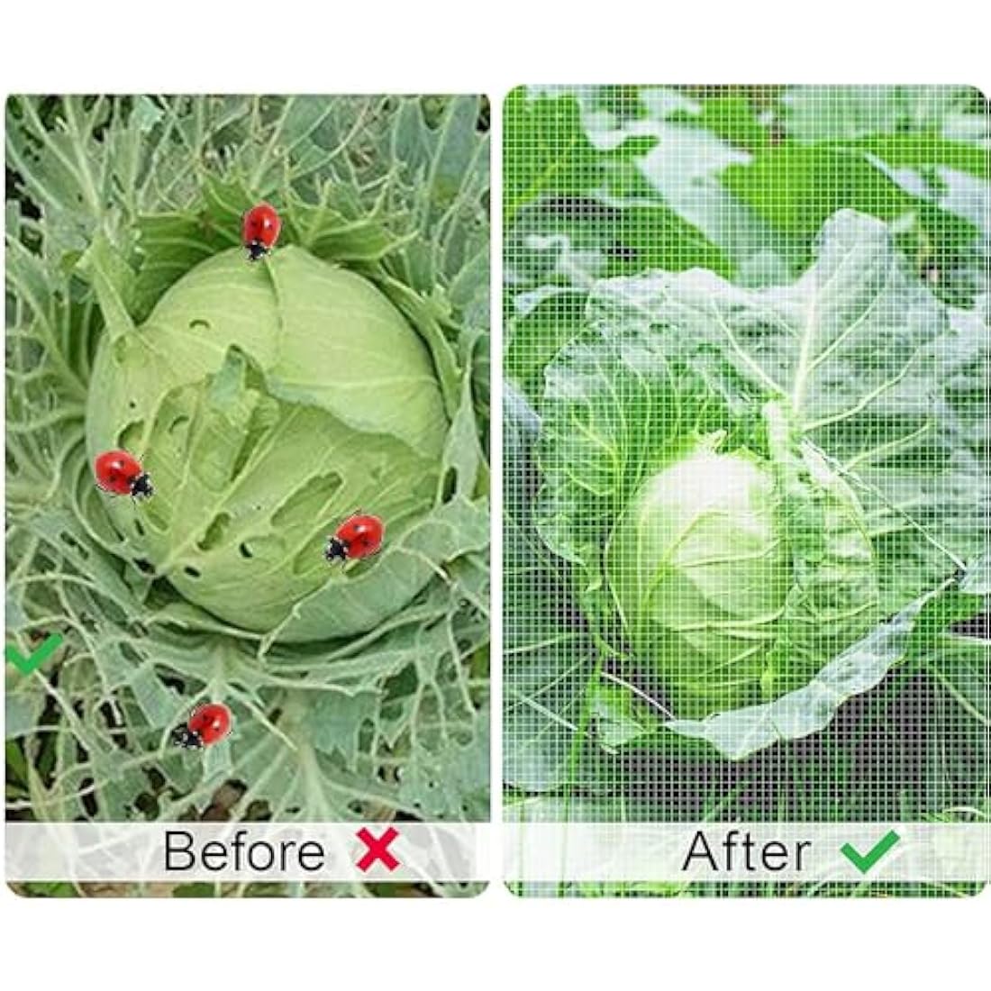 Insect Netting Mesh Garden Netting Fine Mesh Butterfly Garden Netting for Vegetables Plants Fruits Flowers Crops Greenhouse Row Covers Raised Bed Barrier Screen Birds Protection Netting (3 * 15m)