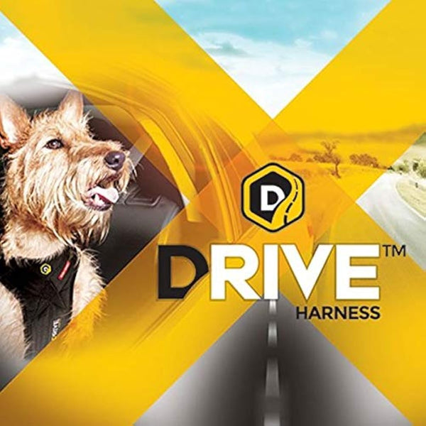 EZYDOG Drive Car Harness | Crash Tested, Rule 57 Compliant, Dog Car Harness & Car Restraint, Tested Up-To 75lb/34kg, Adjustable, No-Pull, Small, Medium and Large Dogs (Small)
