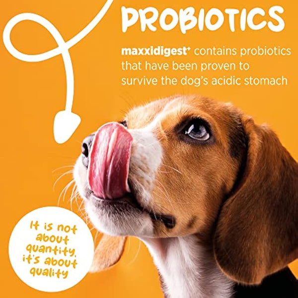 maxxipaws maxxidigest+ Probiotic & Prebiotic Powder Supplement - Digestive & Immune Support for Dogs, 200g