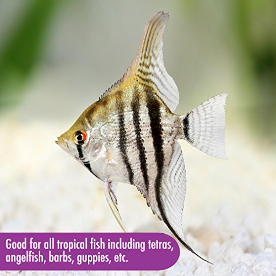 AQUARIAN Complete Nutrition, Aquarium Tropical Fish Food Flakes, 25g Container