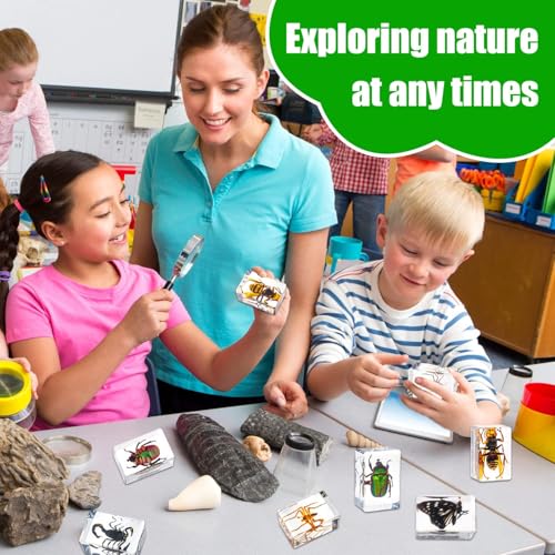 48 Styles Insect in Resin Specimen, Bugs Collection Paperweights Animal Specimen for Kids Bug Preserved in Resin for Scientific Education Office Desk Christmas Display Supplies