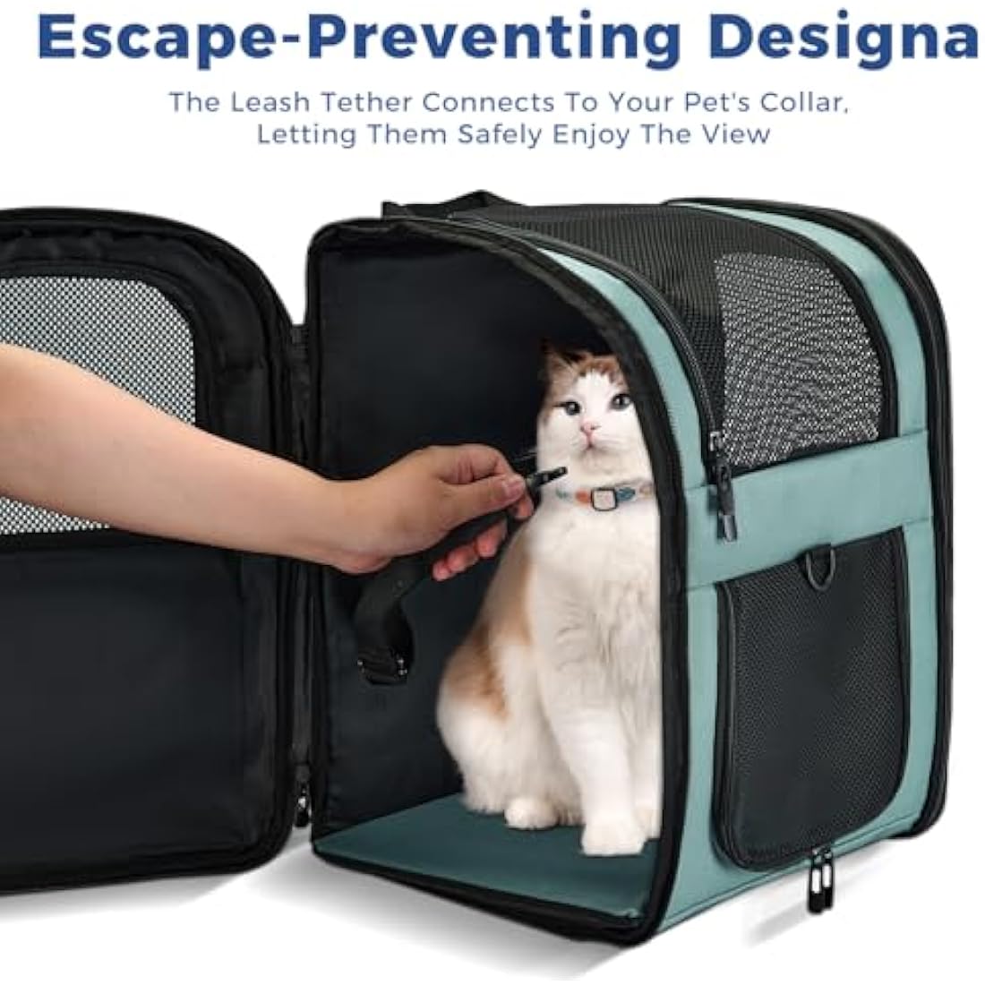 APOLLO WALKER Pet Carrier Backpack for Small Cats and Dogs, Puppies, Two-Sided Entry, Safety Features and Cushion Back Support for Travel, Hiking, Outdoor Use (Blue)