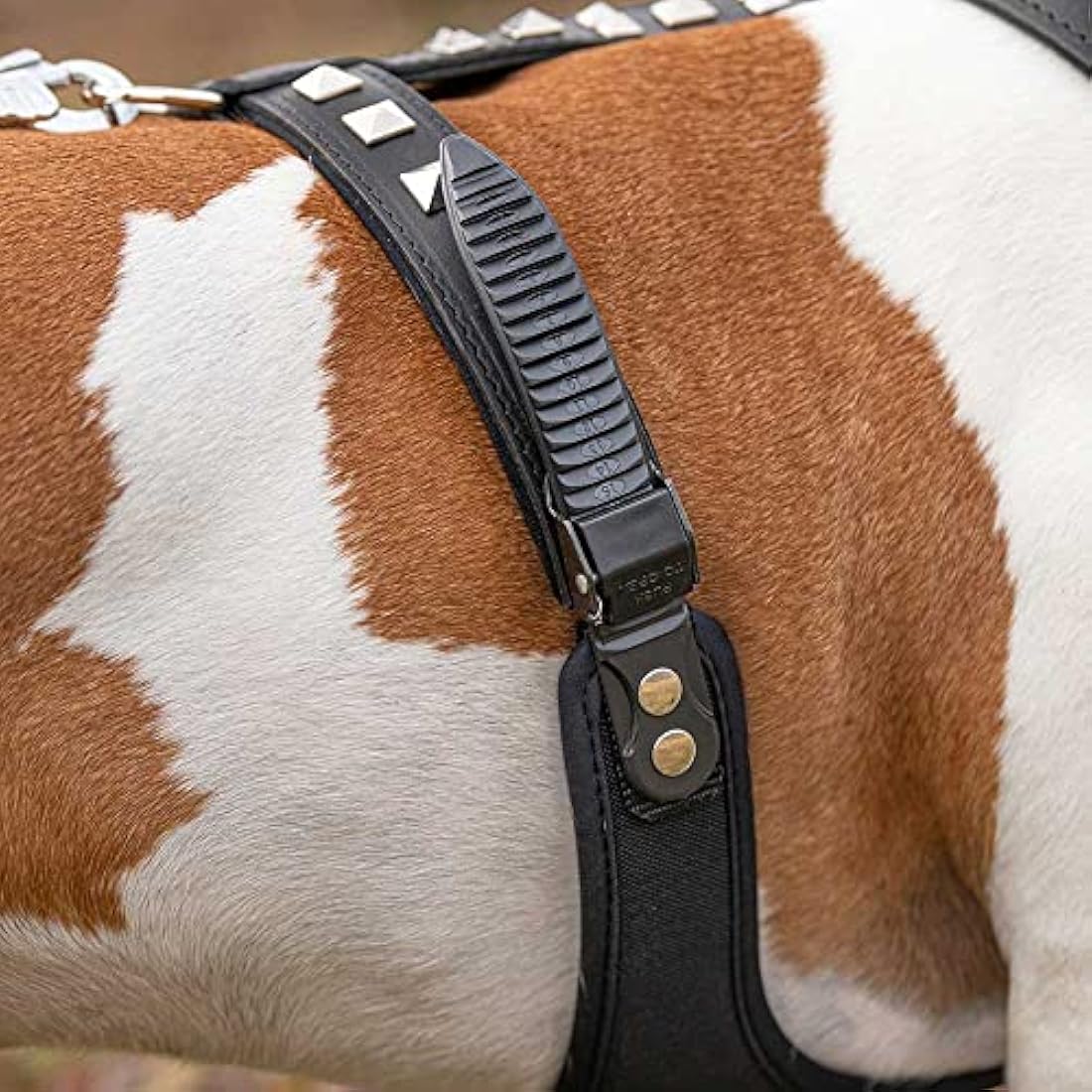 Ferplast Giotto Luxor Dog Harness, 50-70 cm/ 75-95 cm, Black