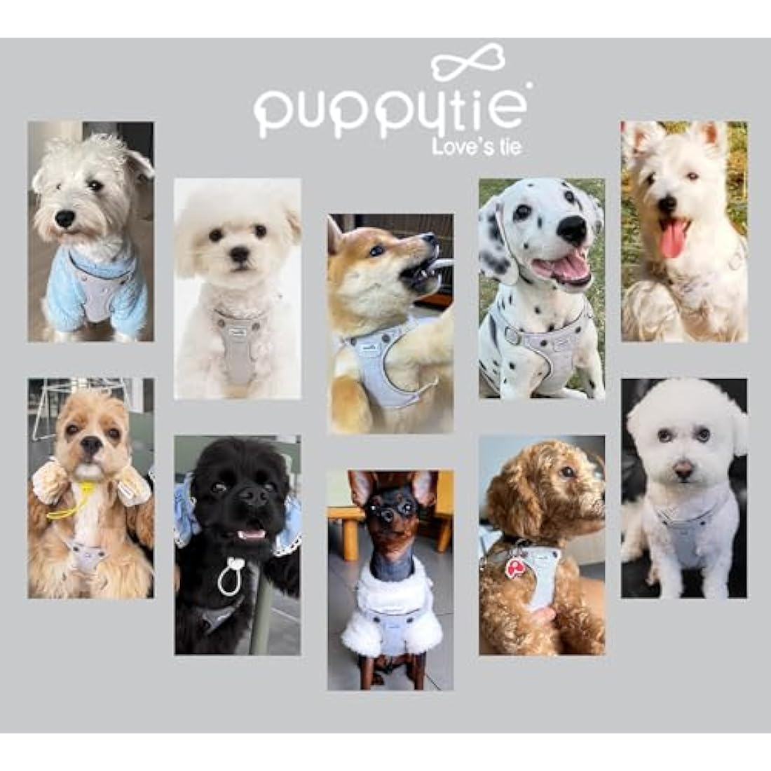 Puppytie Dog Harness with Multifunctional Dog Leash Soft Adjustable No Choke Escape Proof Denim Grey XS