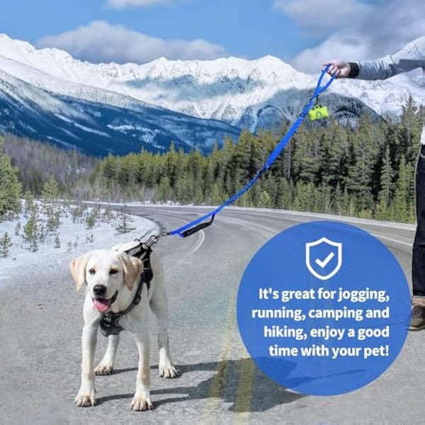 IOKHEIRA Bungee Dog Leash, Anti Pull Dog Leads with Car Seat Belt Buckle, Reflective Thread Dog Leads with Traffic Control Handle, Adjustable Dog Leash for Small Medium Large Dogs