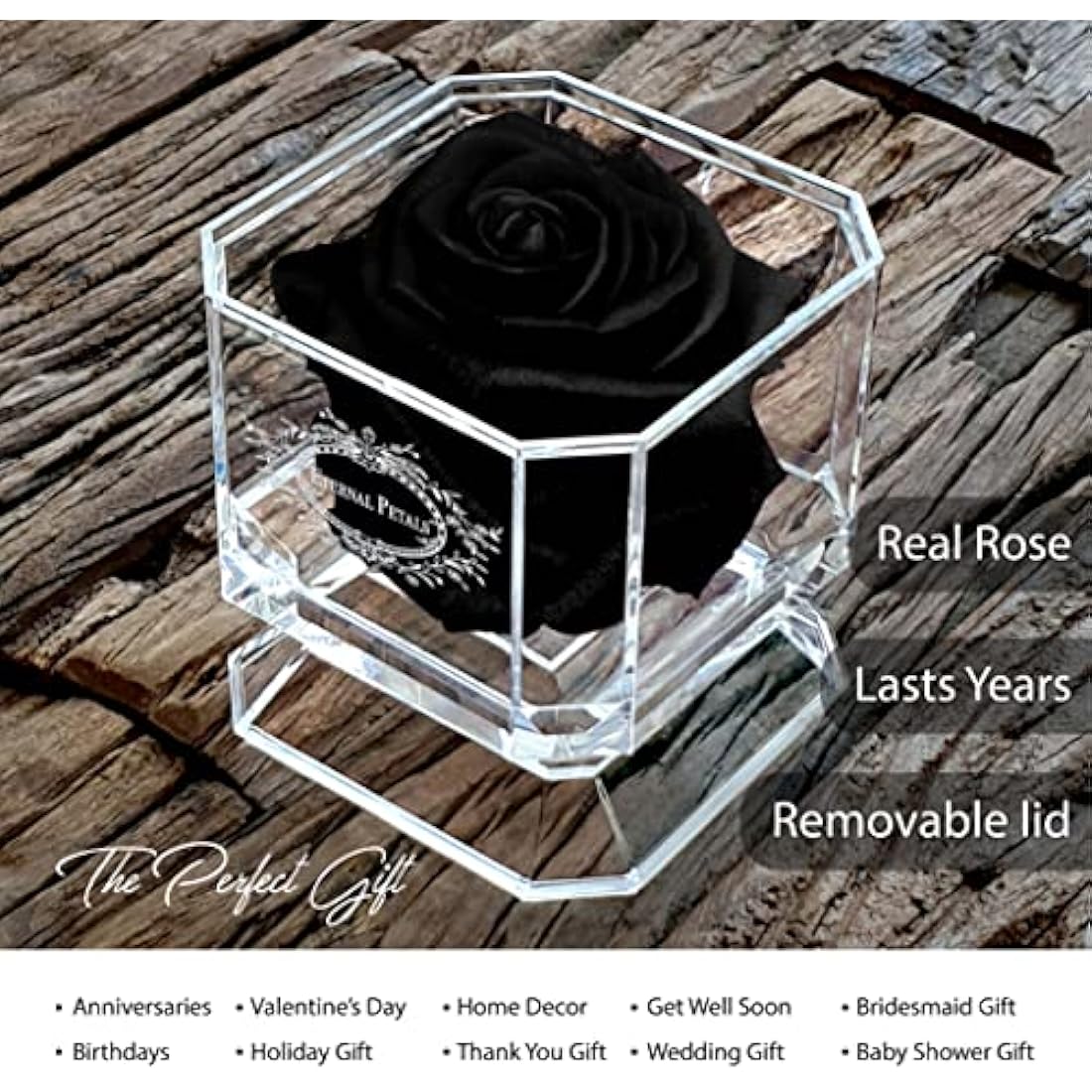 Eternal Petals A 100% Real Rose That Lasts Years, Handmade in UK – White Gold Solo (Black)
