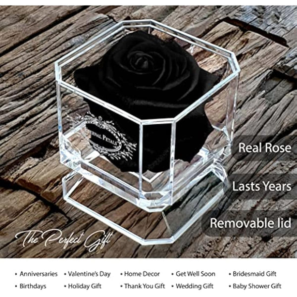 Eternal Petals A 100% Real Rose That Lasts Years, Handmade in UK – White Gold Solo (Black)