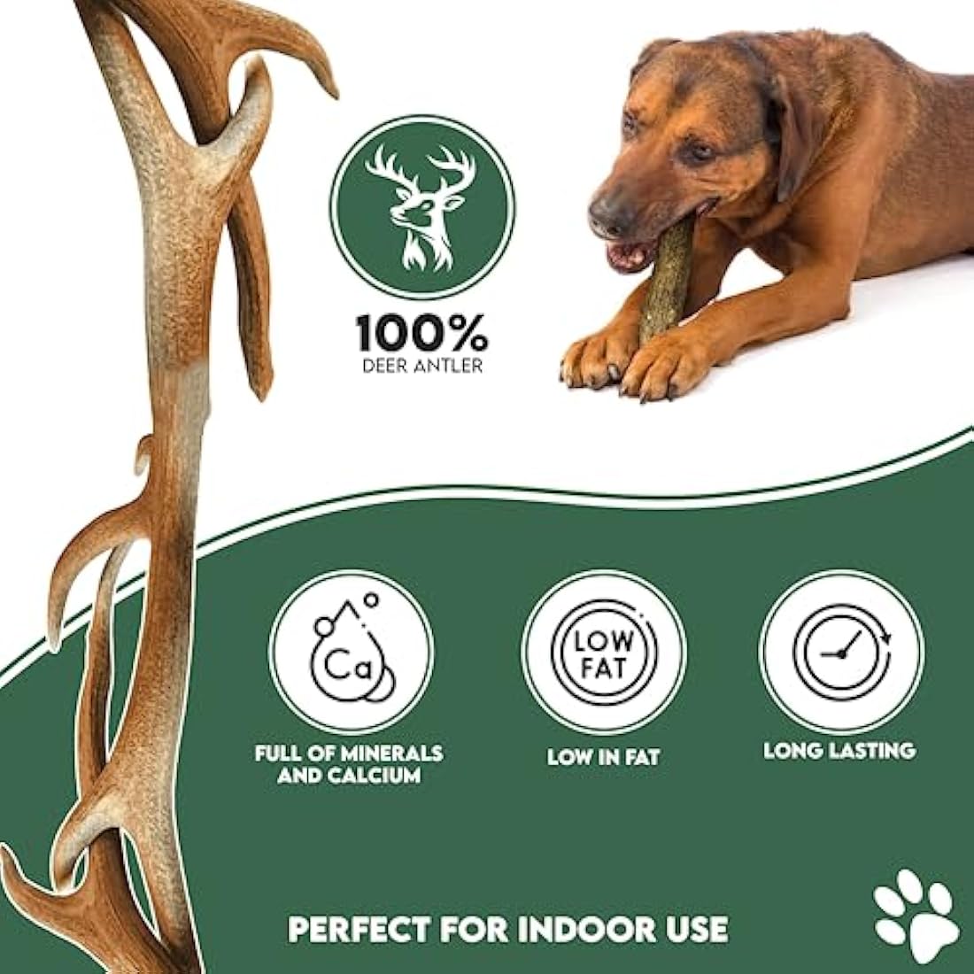 Highland Antler - Natural Fallow Antler Dog Chew. Pack of 1x Large (150g - 220g) Naturally Shed Fallow Deer Antler, Long Lasting Dog Chew Bone With Calcium And Minerals (Shape may vary)