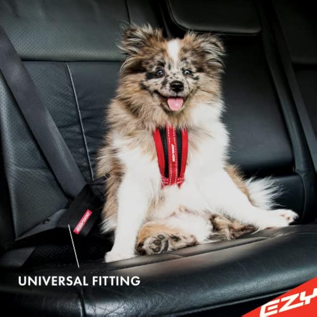 EZYDOG Dog Seat Belt | Car Restraint Harness, Safety Seat Belt for Trips, UK Universal, Rule 57 Compliant