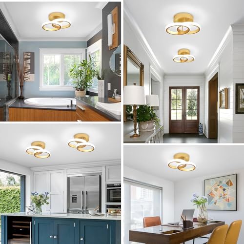 EIDISUNY LED Ceiling Light Modern Ceiling Lamp Silver Round Simple Ceiling Light Fixture LED for Corridor Kitchen Stairs Hallway Study Room Bedroom Living Room - Gold 22W (Cool White Light 6000K).