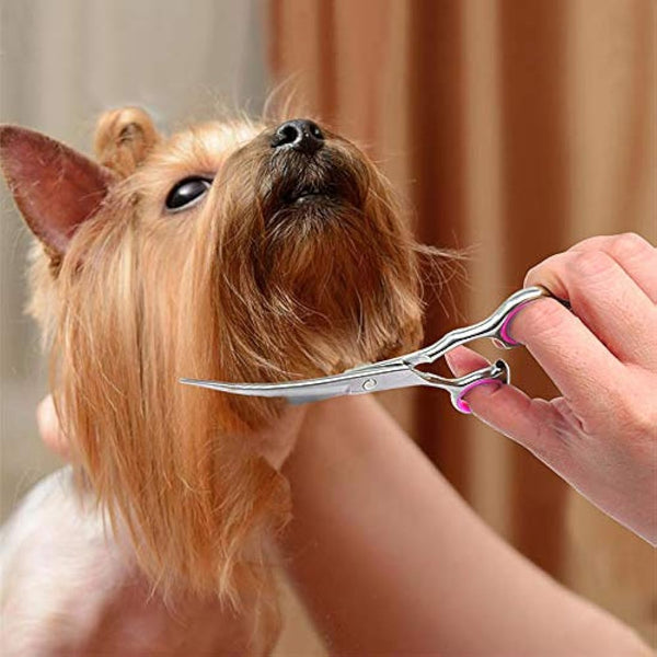 DONGKER 6 inch Stainless Steel Pet Grooming Scissors, Down Curved, Ambidextrous, Classic Style