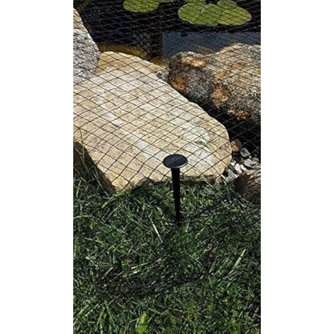 HOZELOCK - Pond Protection Net 4 x 6 m : Ideal for Protecting the Pond from Leaves, Large Debris and Predators, Supplied with 4 Stakes [1736 0000]